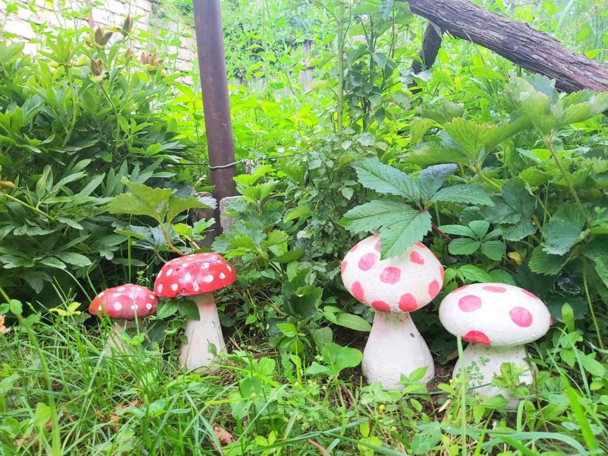 哥里 尼特萨旅馆酒店 外观 照片